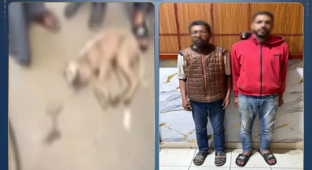 الداخلية: ضبط المتهمين في مقطع فيديو بالاعتداء بالضرب علي كلب بالشرقية