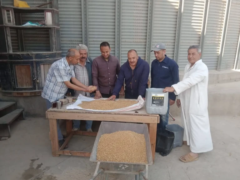محافظ المنوفية يتابع منظومة توريد محصول القمح