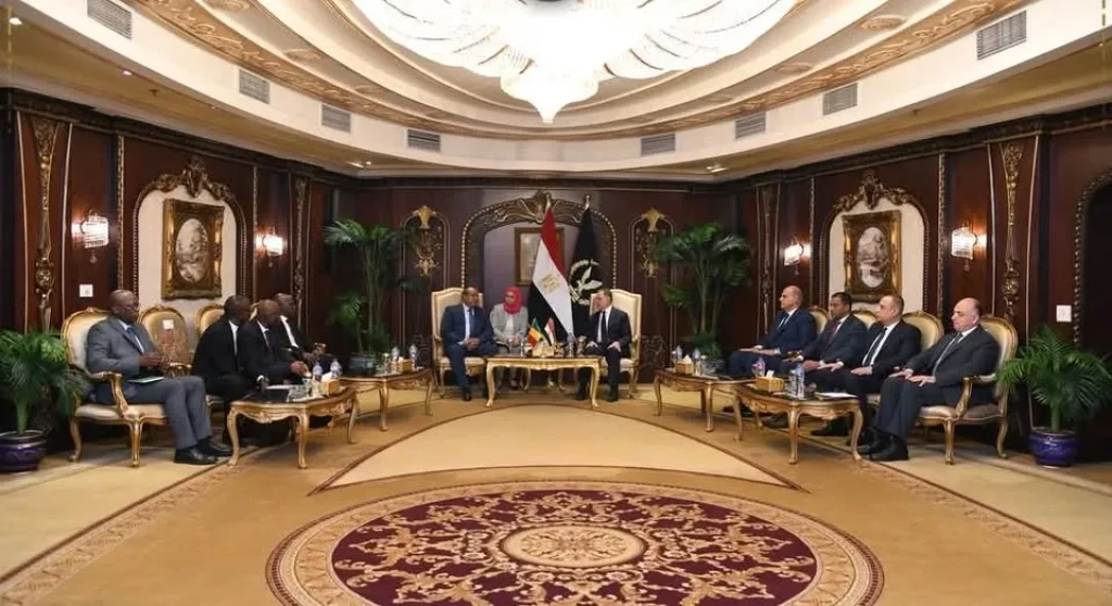 وزير الداخلية يستقبل وزير الأمن بجمهورية مالى لبحث التعاون الأمني المشترك بين البلدين