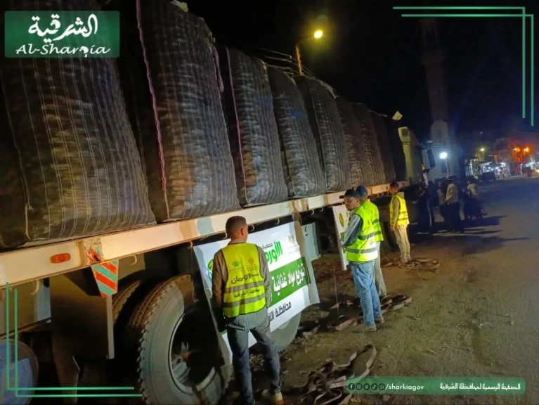 صورة توضيحية 