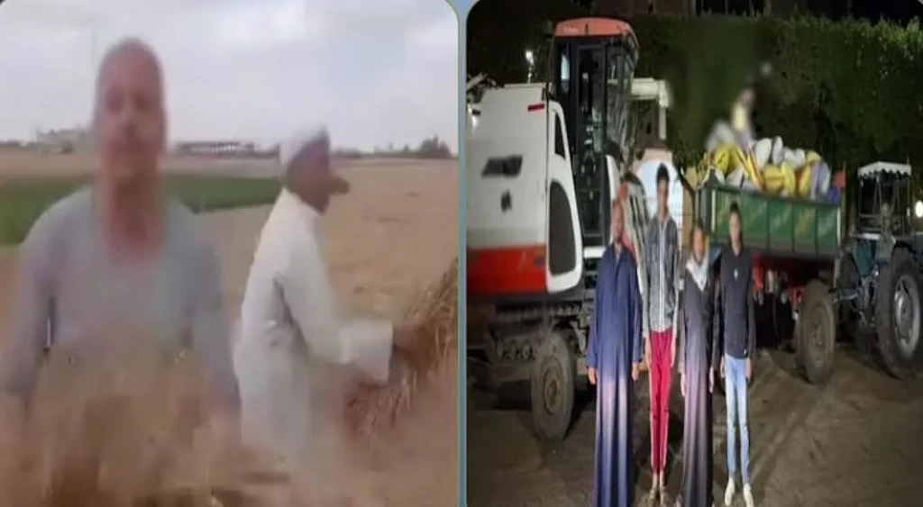 الداخلية: كشف ملابسات مقطع فيديو بسرقة مجهولين محصول من قطعة أرض زراعية ملك أحدهم بالشرقية