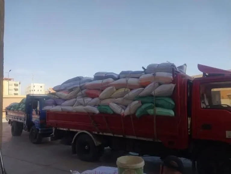محافظ المنوفية يتابع منظومة توريد محصول القمح