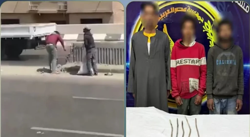 الداخلية: ضبط المتهمين في مقطع فيديو بسرقة أسياخ حديدية من كوبري بالقليوبية