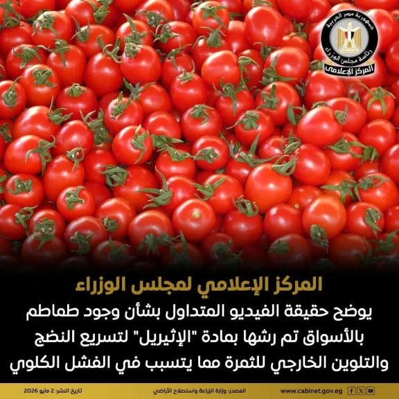 المركز الإعلامي لمجلس الوزراء يوضح حقيقة الفيديو المتداول بشأن وجود طماطم بالأسواق تم رشها بمادة ”الإثيريل”
