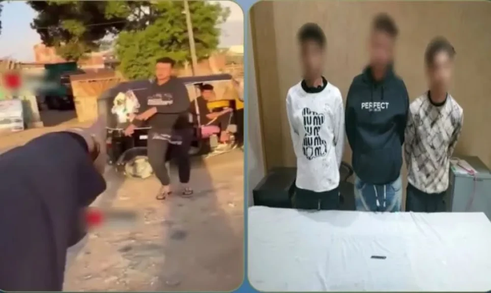 الداخلية: كشف ملابسات مقطع فيديو بمضايقة إحدى الفتيات والتعدى على شقيقها بالضرب بالجيزة