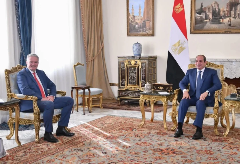 الرئيس السيسي يستقبل الأمين العام لمنظمة التعاون الاقتصادي والتنمية OECD