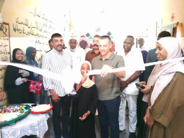 محافظ أسوان يتفقد بيت ثقافة كلابشة بمركز نصر النوبة