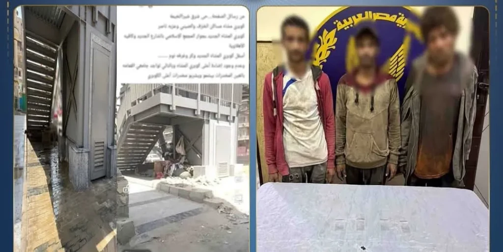 الداخلية: ضبط المتهمين في مقطع فيديو بتعاطي المواد المخدرة أسفل كوبرى بالقليوبية