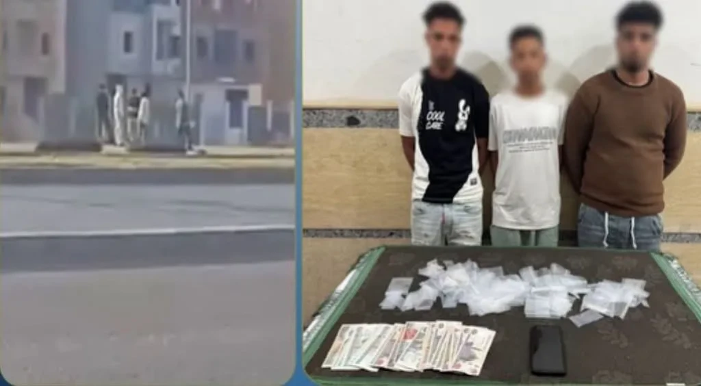 الداخلية: ضبط المتهمين في مقطع فيديو ترويج المواد المخدرة بالجيزة