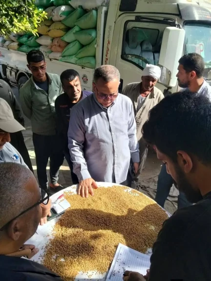 محافظ الدقهلية: توريد 205 ألف طن قمح لمواقع التخزين والصوامع على مستوى المحافظة