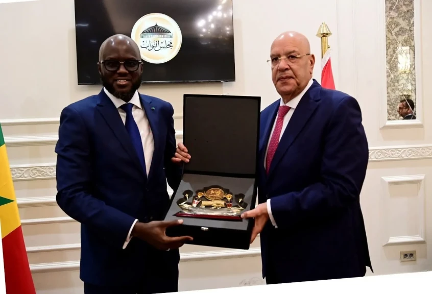 رئيس مجلس النواب يلتقي كل من رئيس البرلمان السنغالي وسفراء الدول الأفريقية في مصر