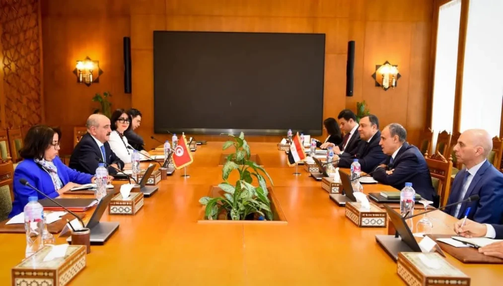 وزير الخارجية يترأس مع نظيره التونسي جولة لآلية التشاور السياسي بين مصر وتونس