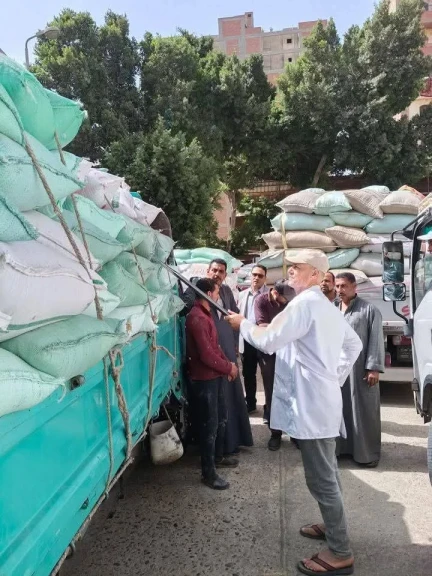محافظ المنوفية يتابع منظومة توريد محصول القمح