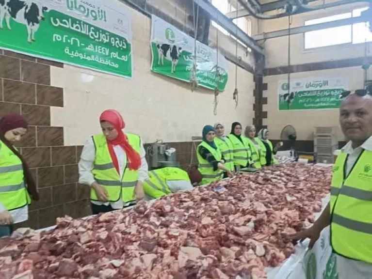 أورمان المنوفية : ذبح 50 عجل أضاحى وتوزيعها على الأسر الأولى بالرعاية خلال أيام عيد الأضحى