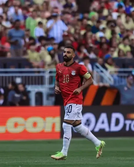 ‏محمد صلاح يفوز بجائزة أفضل لاعب في مباراة نيوزيلندا