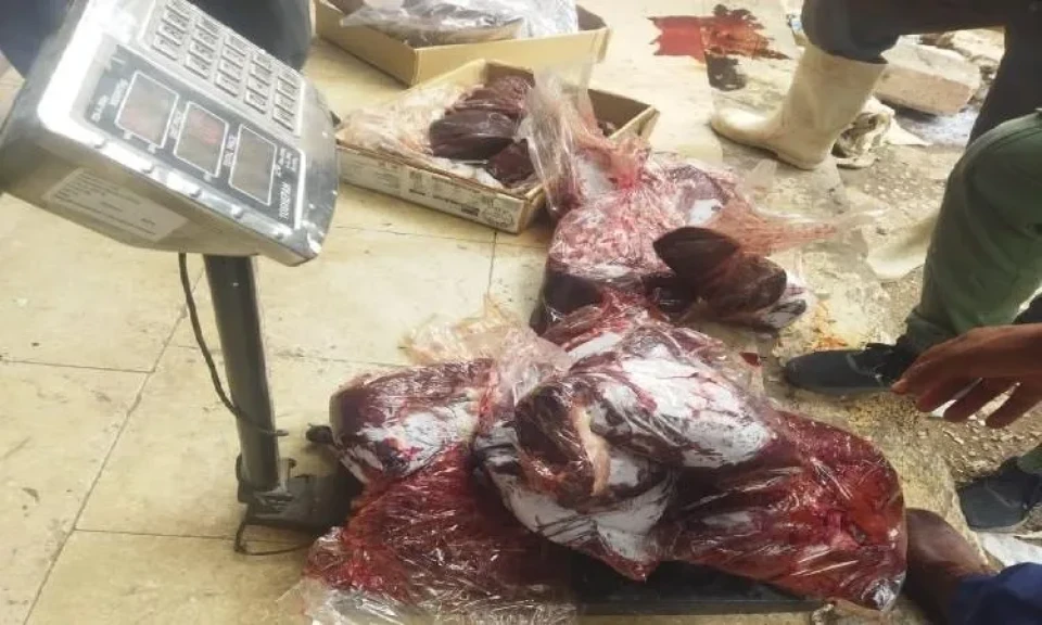 ضبط 85 كيلو لحوماً فاسدة و424 منتجاً غذائياً منتهياً للصلاحية خلال حملة رقابية