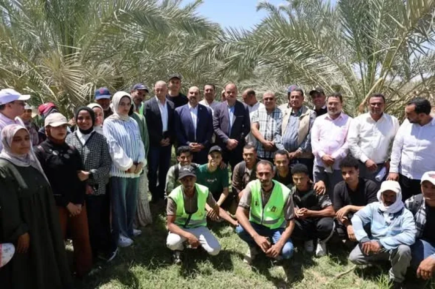 نائب محافظ الوادي الجديد يشهد انطلاق التدريب الصيفي لطلاب كلية الزراعة بمزارع نخيل الشركة 55 بالخارجة