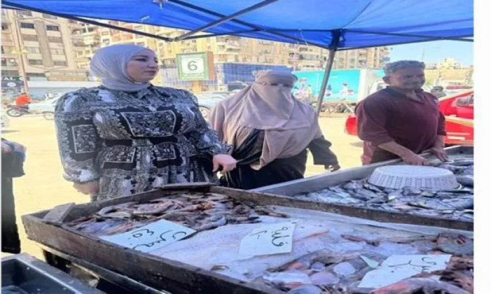 ضبط 288 مخالفة متنوعة في حملات مكبرة على مدن و مراكز الدقهلية