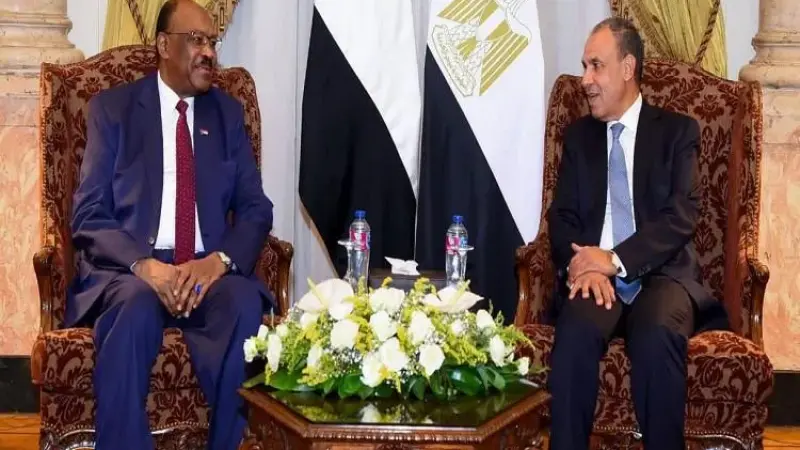 وزير الخارجية يؤكد موقف مصر الثابت الداعم لوحدة السودان وسيادته وسلامة أراضيه