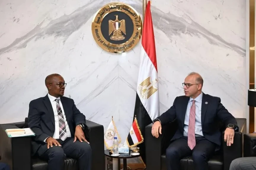 وزير الاستثمار يبحث مع وزير التجارة والصناعة الجنوب أفريقي توسيع التكامل الاستثماري والتجاري بين البلدين