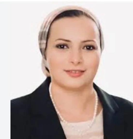 بعد تحرك النائبة مروة حسن حسان.. خطا مواصلات من المجزر إلى جامعة المنصورة وطلخا قيد الدراسة