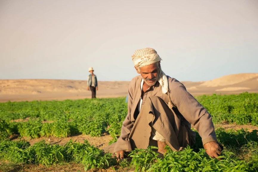 سيكم تُسجل إنجازات كبرى في مجالي الأعمال والتنمية المستدامة خلال عام 2025