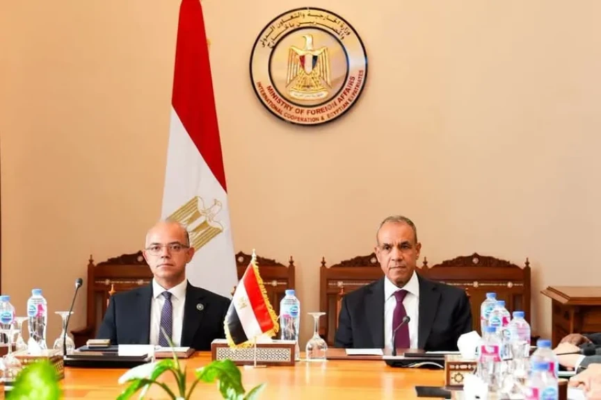 وزيرا الخارجية والاستثمار يبحثان تنسيق السياسات وتكامل الجهود لدعم استثمارات الشركات المصرية في إفريقيا
