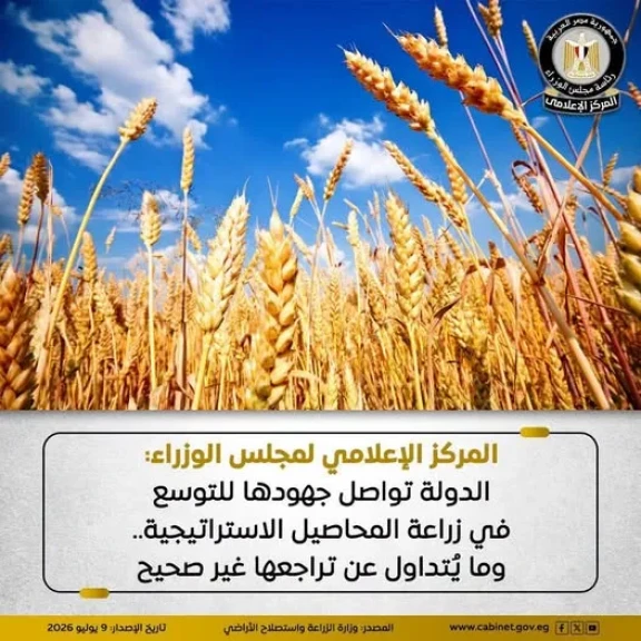 المركز الإعلامي لمجلس الوزراء: الدولة تواصل جهودها للتوسع في زراعة المحاصيل الاستراتيجية