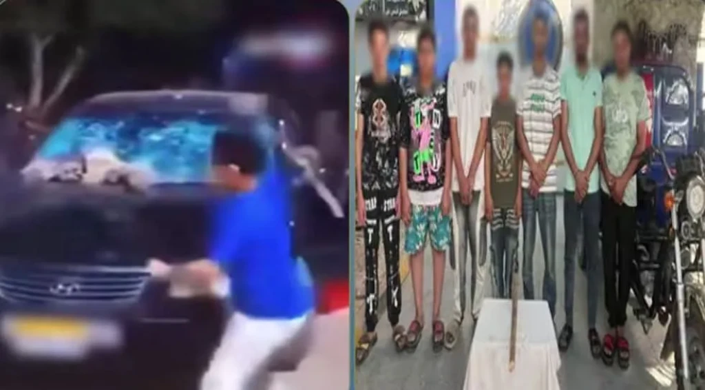 الداخلية: ضبط المتهمين في مقطع فيديو مشاجرة عدد من الأشخاص بمباراة المنتخب المصري