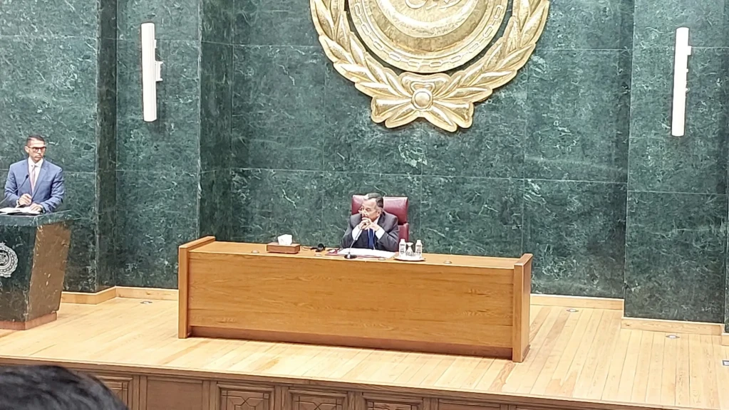 نبيل فهمي : الإعتداءات الحوثية الإرهابية على المملكة مرفوضة على طول الخط
