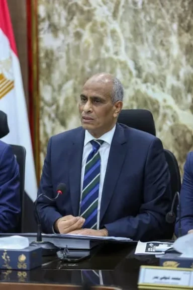 محافظ كفرالشيخ: ضبط مخبزين استوليا على 3.5 طن دقيق بلدي مدعم ببيلا