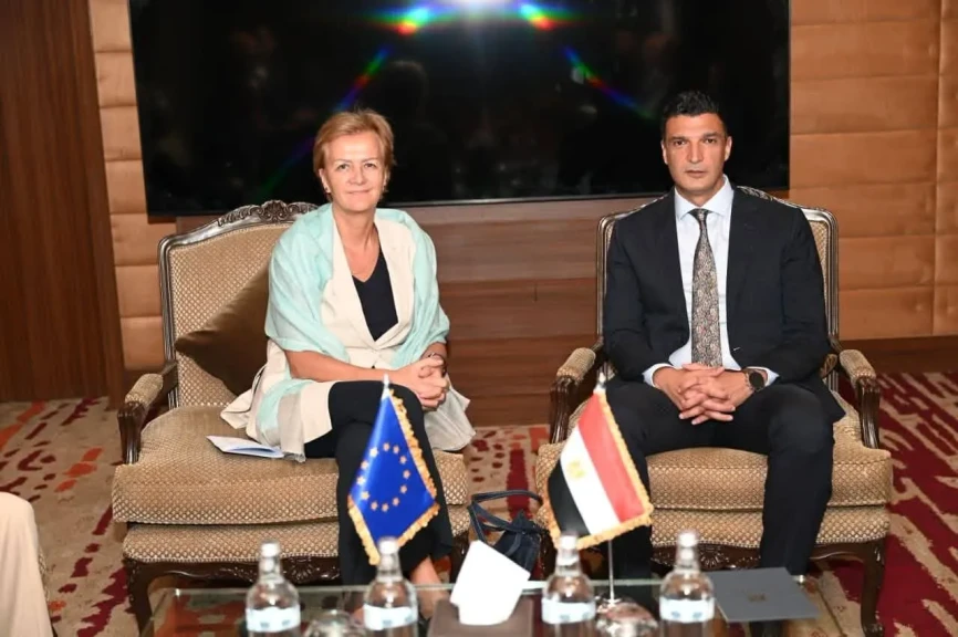 وزير الصناعة يبحث مع رئيسة بعثة الاتحاد الأوروبي لدى مصر سبل تعزيز التعاون في الملفات ذات الاهتمام المشترك