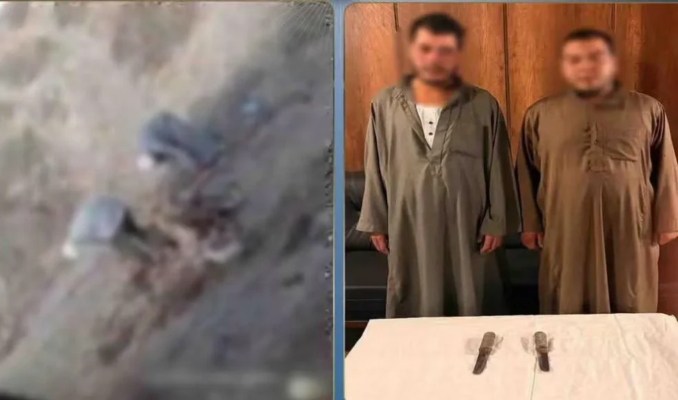 الداخلية: كشف ملابسات مقطع فيديو قيام القيام بسلخ و جلد دابة نافقة حمار بالبحيرة