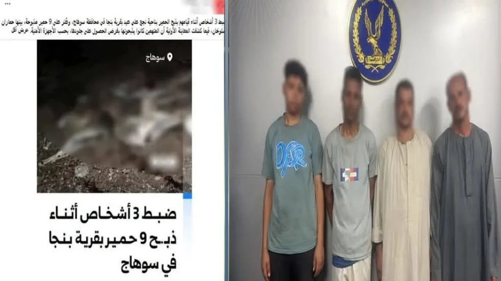 الداخلية:ضبط المتهمين في قضيه لحوم الحمير بجوار أحد المصارف المائية بسوهاج