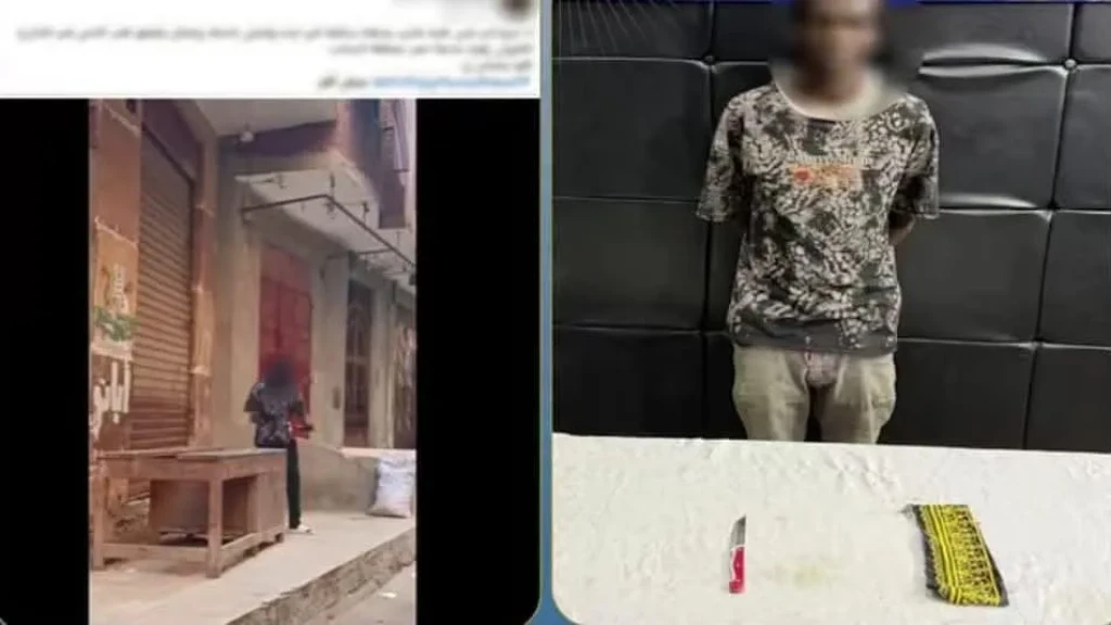 الداخلية: ضبط المتهم في مقطع فيديو حاملاً سلاح أبيض ويرتدى غطاء على وجهه بالقاهرة