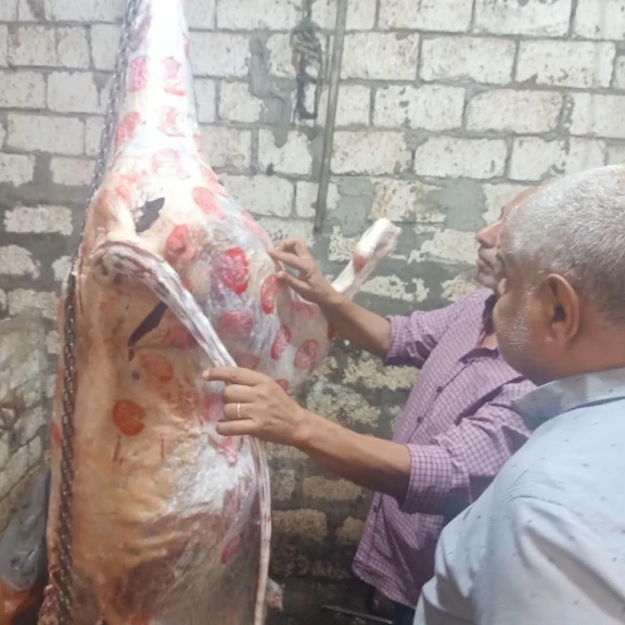 محافظه المنيا : حملات رقابية على محال الجزارة بسمالوط