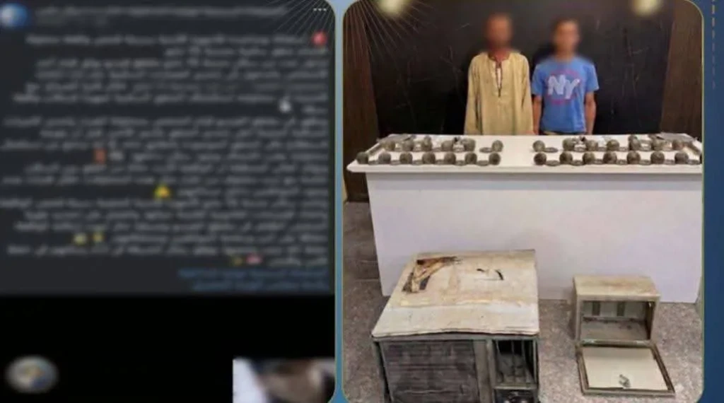 الداخلية:ضبط المتهم في مقطع فيديو بمحاولة سرقة سيدة بمدينة 15 مايو بالقاهرة