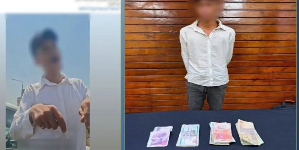 الداخلية: ضبط المتهم في مقطع فيديو بمزاولة مهنة منادى سيارات بدون ترخيص بالقليوبية