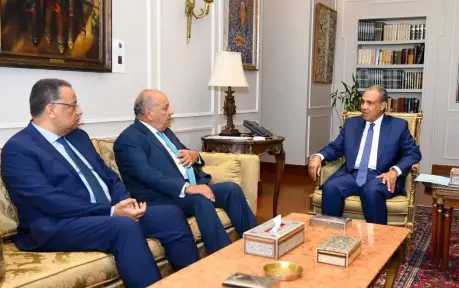 وزير الخارجية يستقبل وكيل مجلس النواب وعضو مجلس الشيوخ