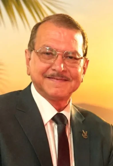 المحليات مستقبل مصر