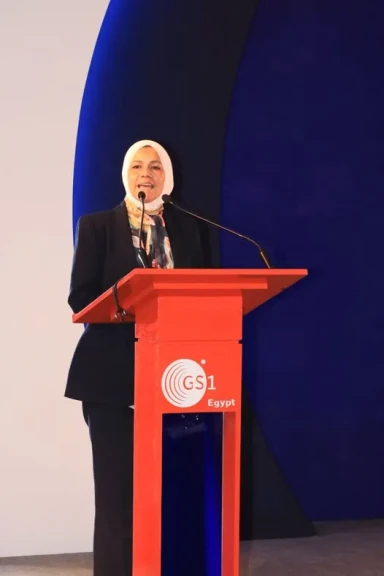 رشا عبد العال: نستهدف تغيير نظرة مجتمع الأعمال لمصلحة الضرائب من الجباية إلى الشراكة