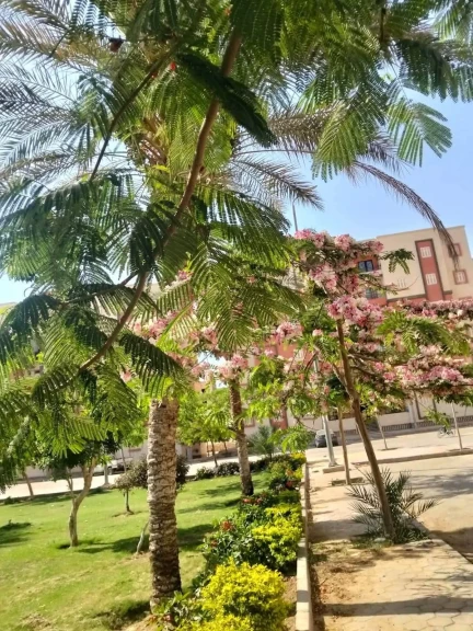 وزيرة الإسكان تتابع موقف مشروعات المرافق وأعمال التطوير بمدينتي الشيخ زايد وحدائق أكتوبر