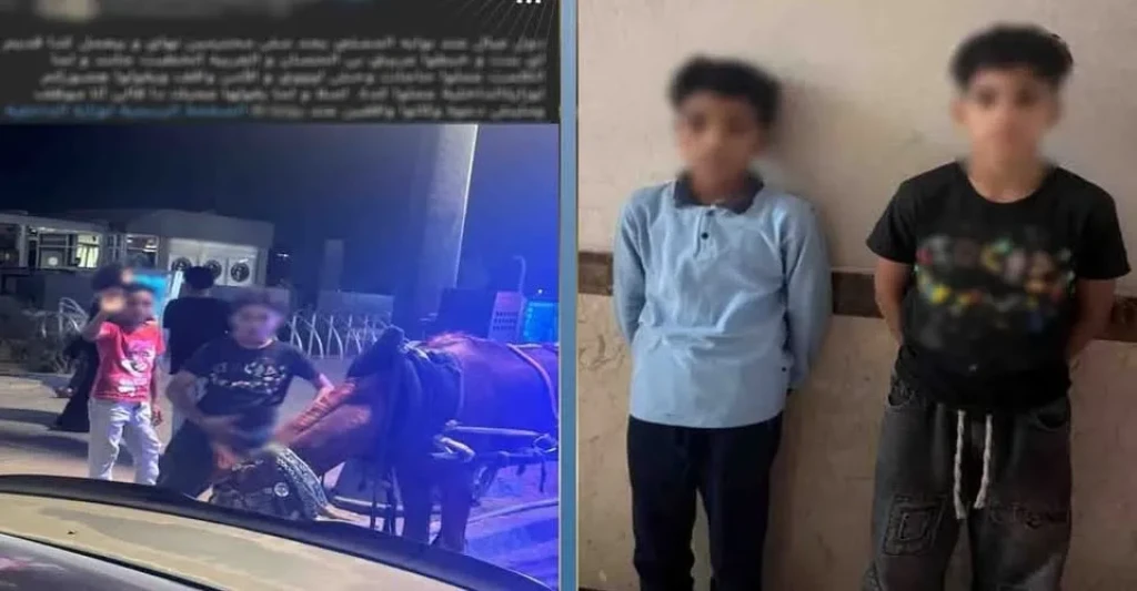 الداخلية::كشف ملابسات القيام بإشارات خادشة للحياء تجاه المارة بالطريق العام بالقاهرة