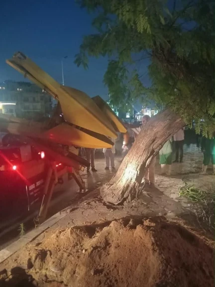 وزيرة التنمية المحلية والبيئة تتابع مع محافظ القاهرة جهود نقل شجرة عملاقة ب مصر الجديده بعد سقوطها