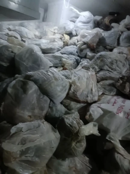 محافظة الجيزة تضبط 13 طنًا من اللحوم والمنتجات الحيوانية غير الصالحة للاستهلاك الآدمي