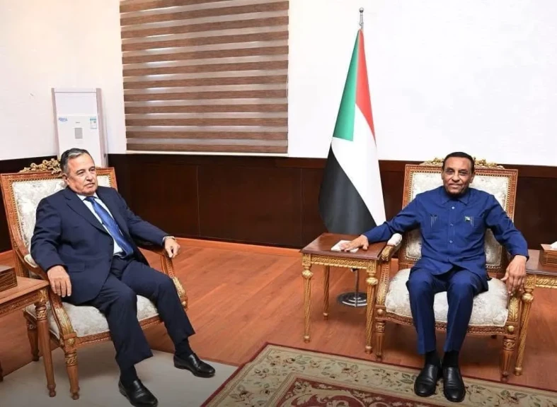 نبيل فهمي يلتقي رئيس الوزراء السوداني في الخرطوم