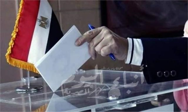 انطلاق جولة الإعادة للمرحلة الأولى من انتخابات مجلس النواب للمصريين بالخارج
