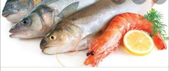 دراسة حديثة تشير إلى أهمية تناول الأسماك