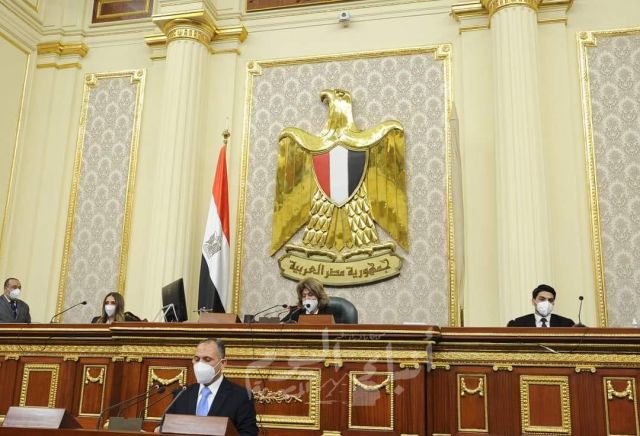 فريدة الشوباشي تشكر القيادة السياسية على الدعم المستمر للمرأة المصرية وإجراء الانتخابات في ظل ظروف كورونا